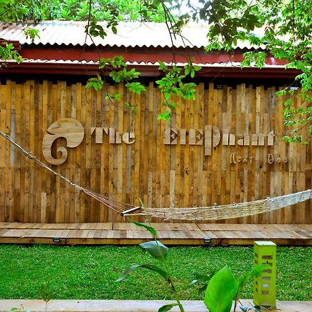The Elephant Next-Door อุดาวาลาเว ภายนอก รูปภาพ