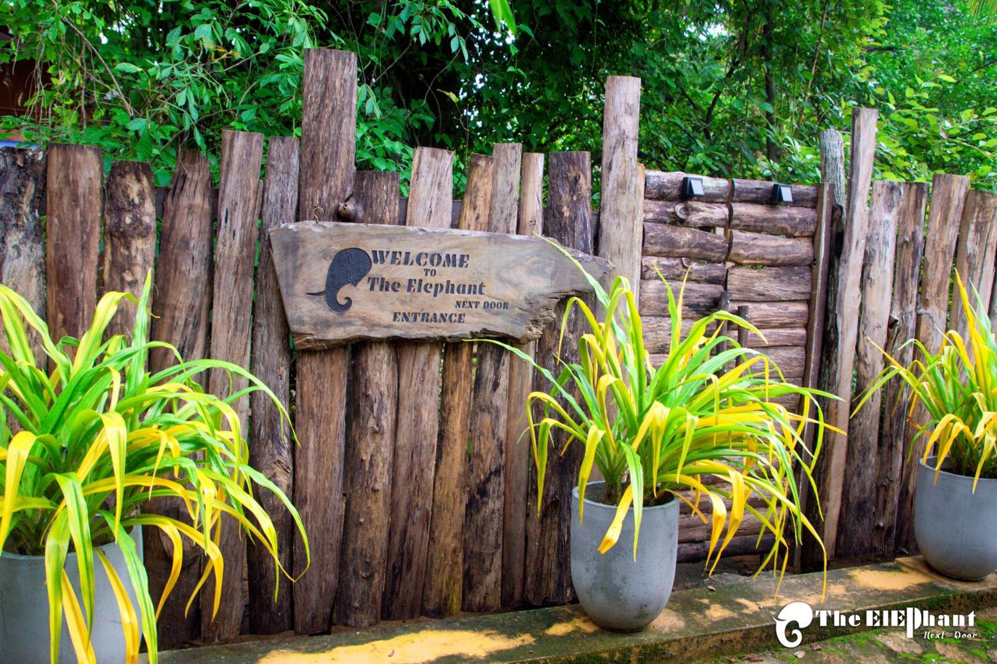 The Elephant Next-Door อุดาวาลาเว ภายนอก รูปภาพ